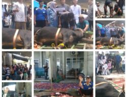 Masjid Al Jihad Air Gading Penuh Berkah dan Kebersamaan di Momentum Idul Adha, Semangat Berqurban Masyarakat Terus Menguat